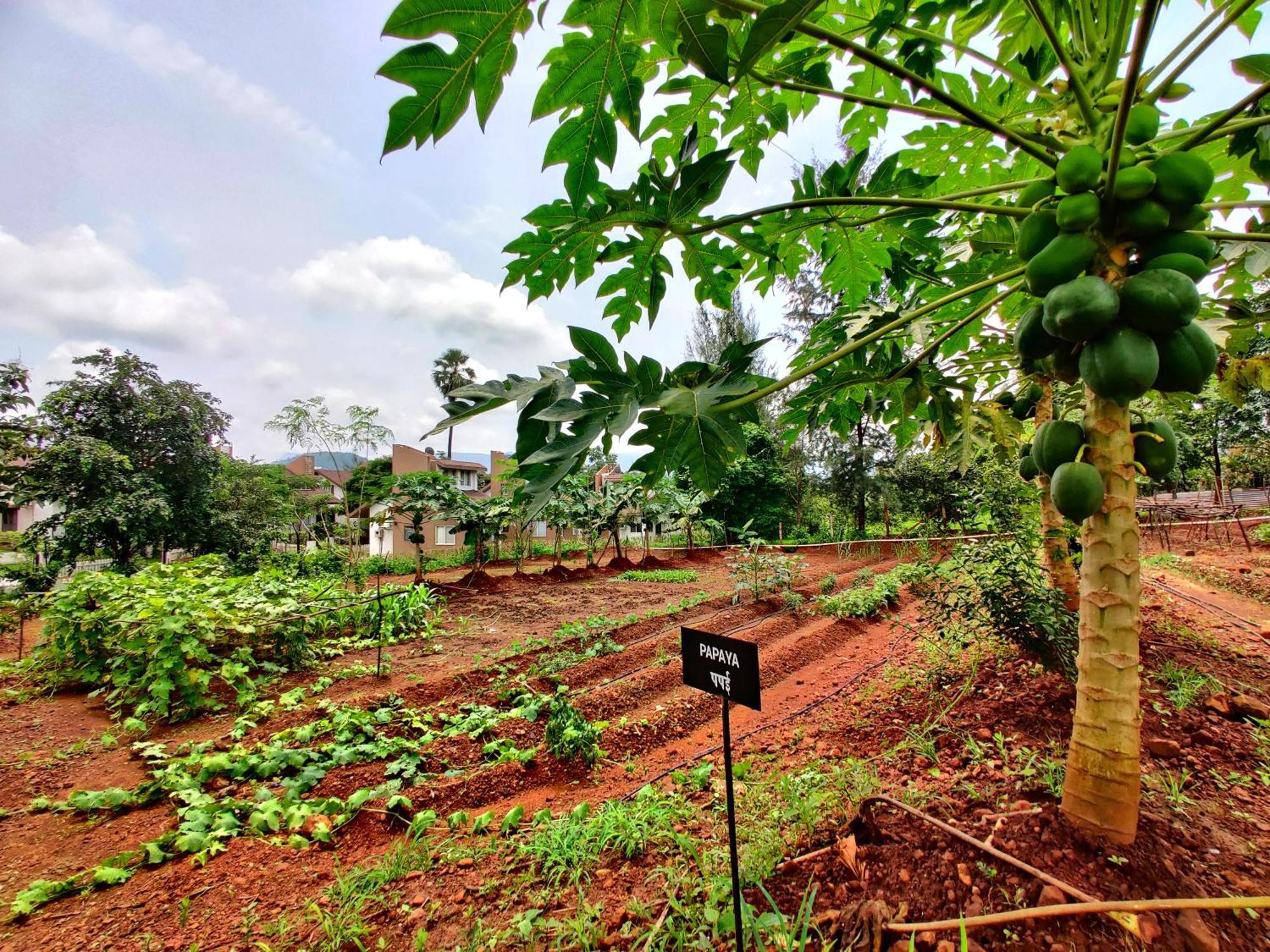 Pushpam Sanskruti Resort Karjat - A Pure Veg Resort Dhamni Eksteriør bilde