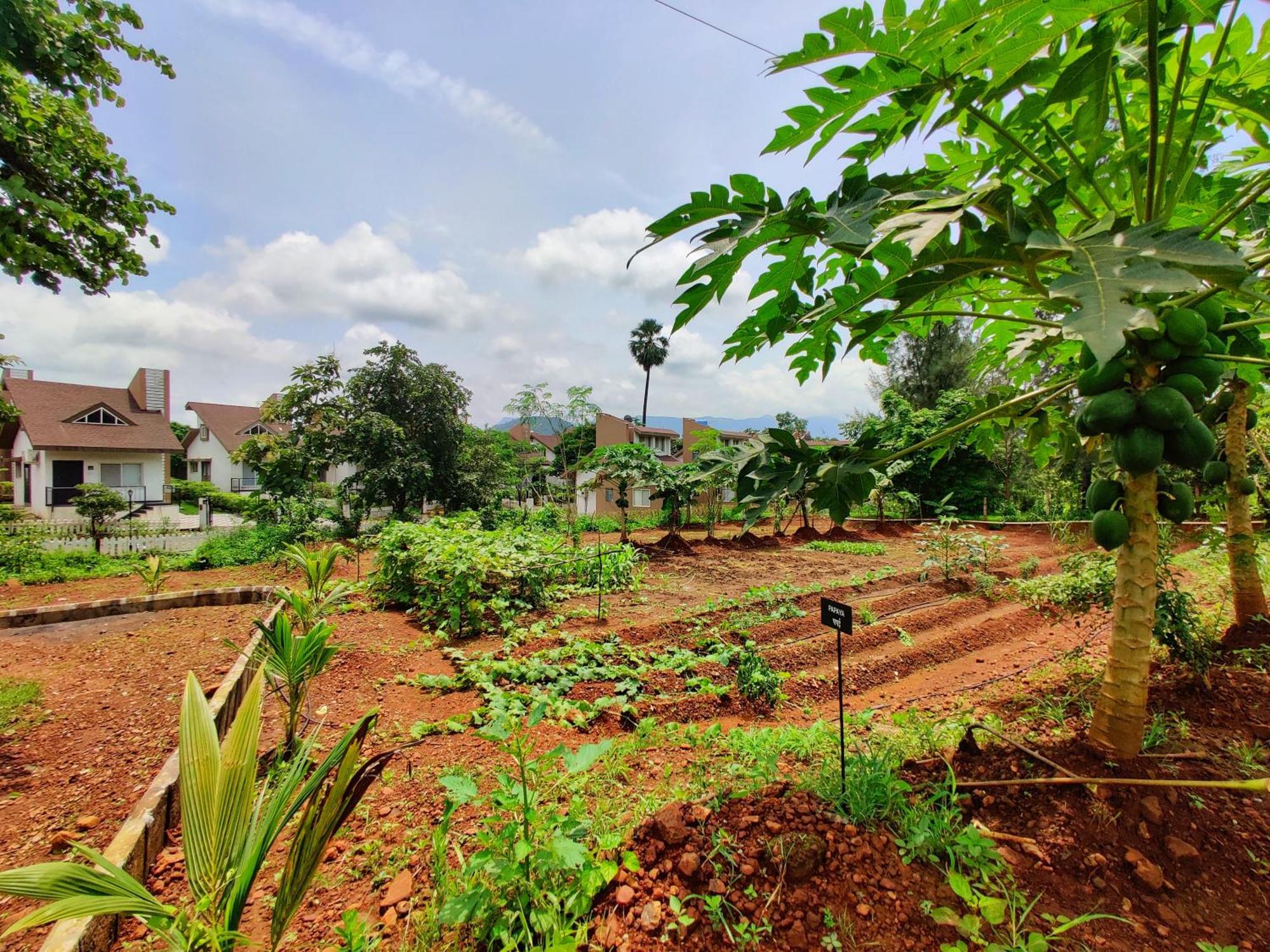 Pushpam Sanskruti Resort Karjat - A Pure Veg Resort Dhamni Eksteriør bilde
